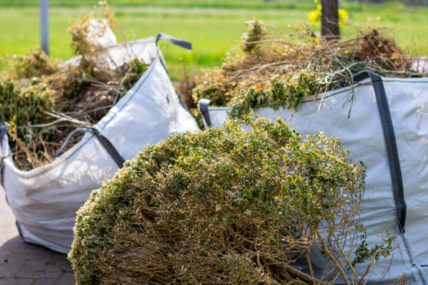 Best Dumpster Rental Services  in Pquemine, LA